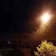 白蟻危害大,4-6月份進入其活躍期 防治白蟻不容忽視!